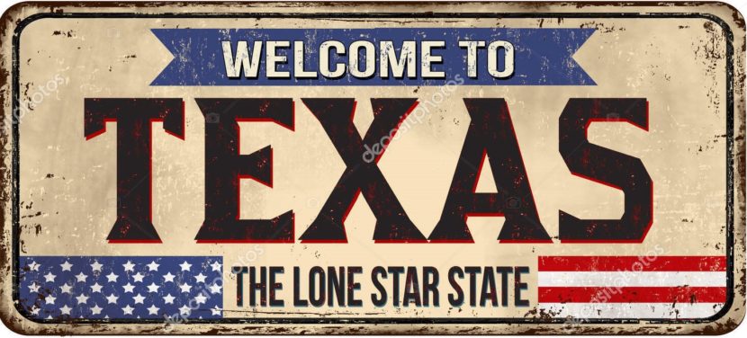 Texas Hospice and Home Health for Sale