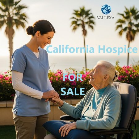 Hospice nurse smiling with elderly patient outdoors in sunny Southern California with palm trees in the background